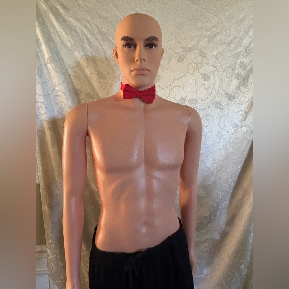 100% Polyester Adjustable Red Bow Tie (Good Condition)